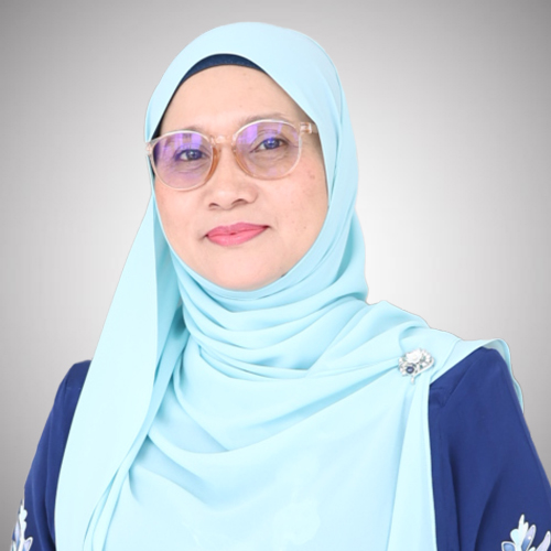 nor hafizin